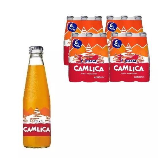 Çamlıca Portakal Cam Şişe 200ml *24 lü Koli